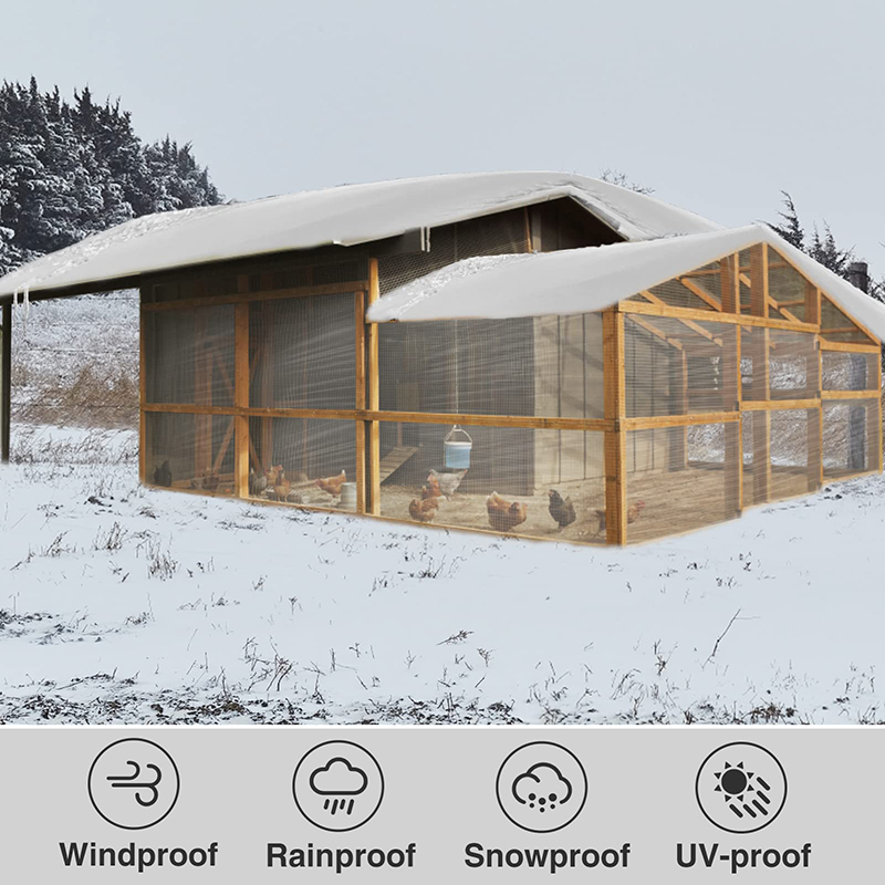 Transparent Tarpaulin 2*3 4 5  – Waterproof Tarp Shelter Bewertung und Preis